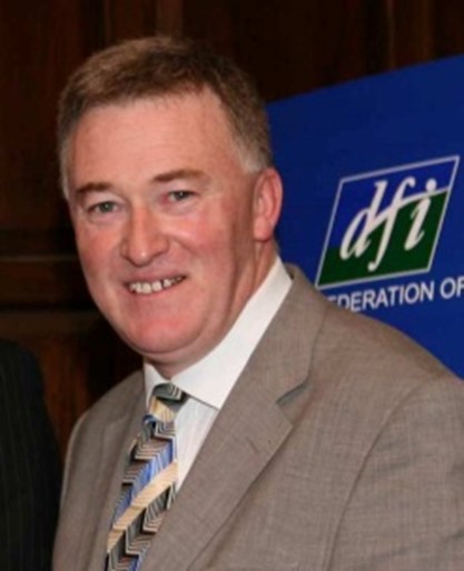 Disability Federation Ireland DFI European Disability Forum