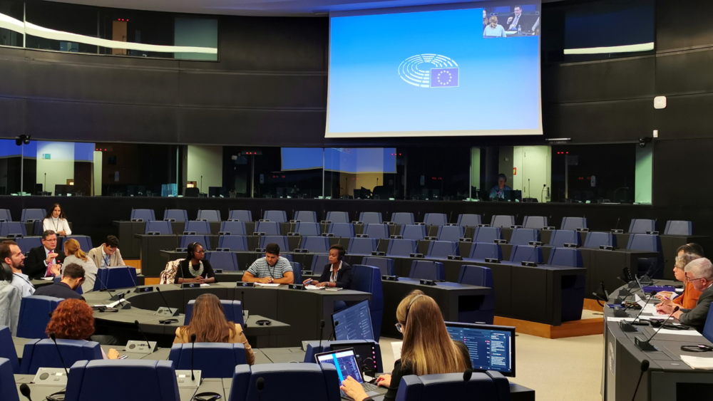 The Members of the EP Disability Intergroup gathered in Strasbourg in September 2022