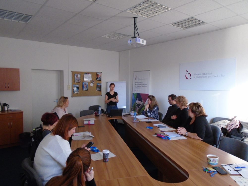  Czech Disability Council meeting over the Ascend project, October 2022