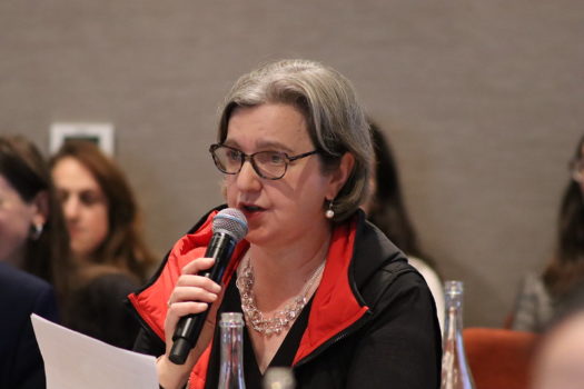 View of Irish advocate speaking