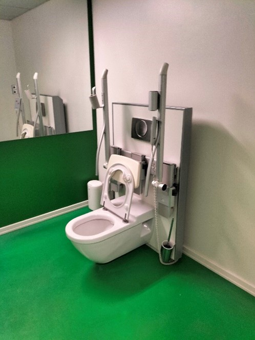 Accessible toilet at DPOD's office