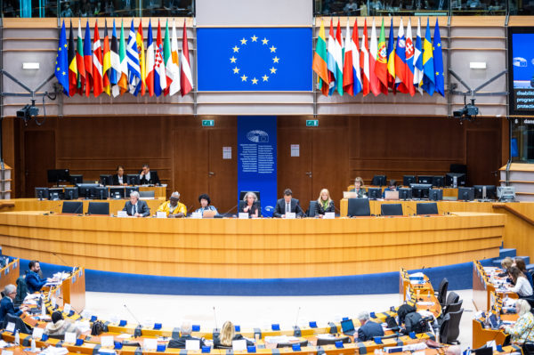 Panellists of third panel under the EU flag