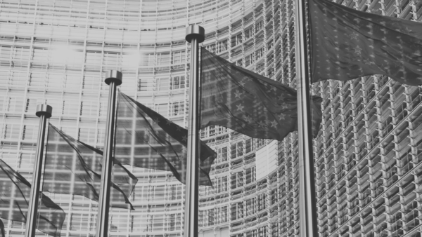 a black and white photo of EU flags in the wind